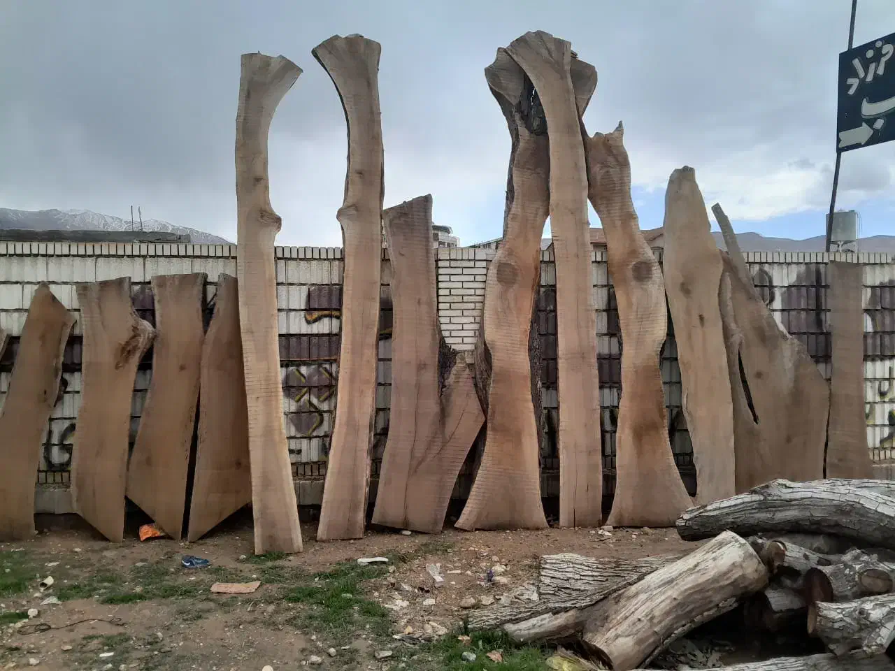 چوب و خرید و فروش تخته|عمدهفروشی|شیراز, قلات|دیوار