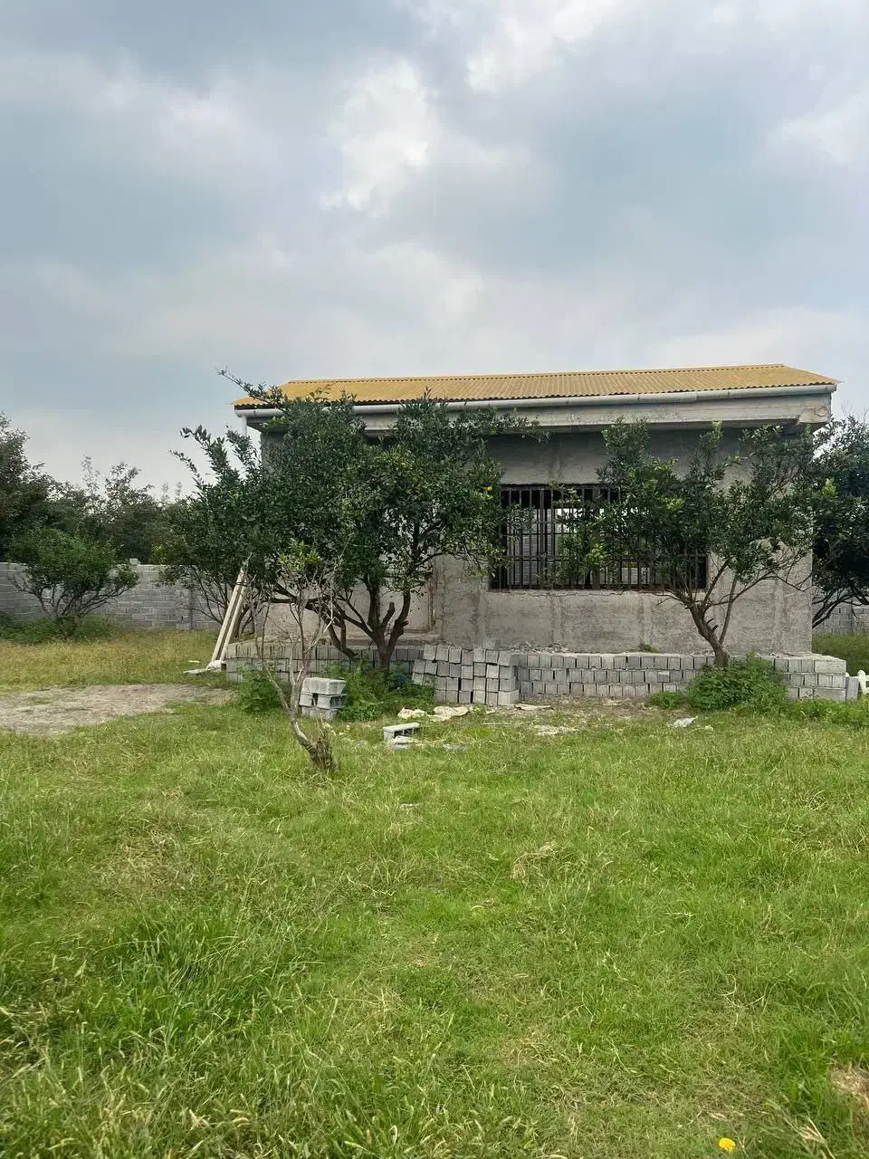 زمین۵۰۰متری سند/با بنای نیمساخته/با درختان پرتقال|فروش زمین و ملک کلنگی|امامزاده عبدالله, |دیوار