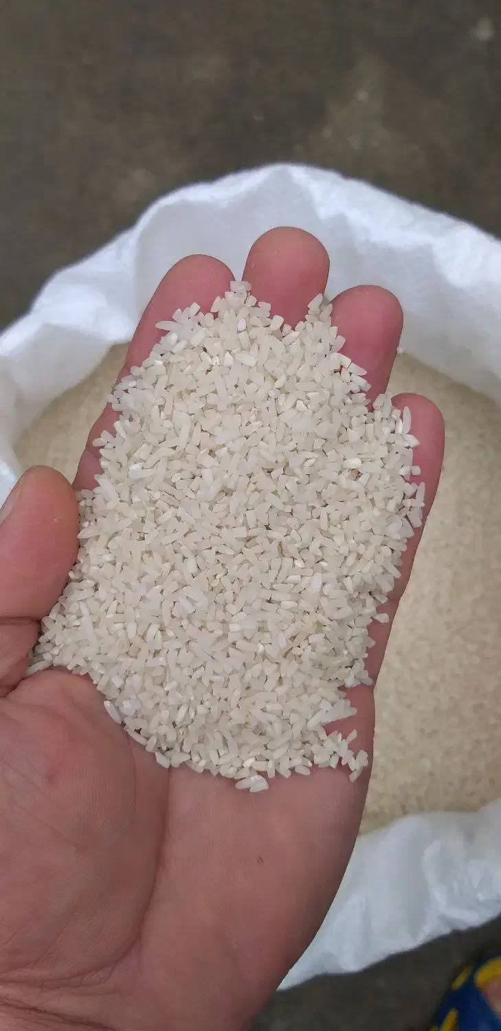 برنج هاشمی|خوردنی و آشامیدنی|سلمانشهر, |دیوار