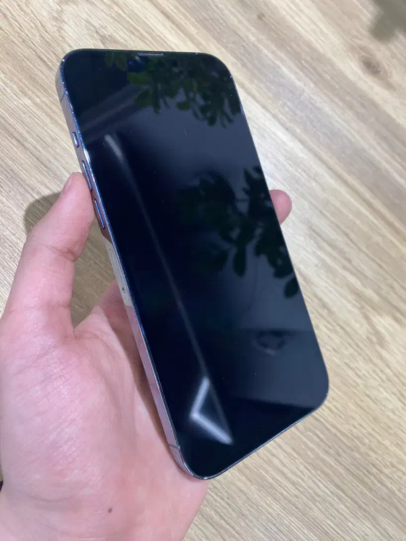 اپل iPhone 13 Pro Max (256 گیگ) نقد و اقساط|موبایل|قم, شهرک قدس|دیوار