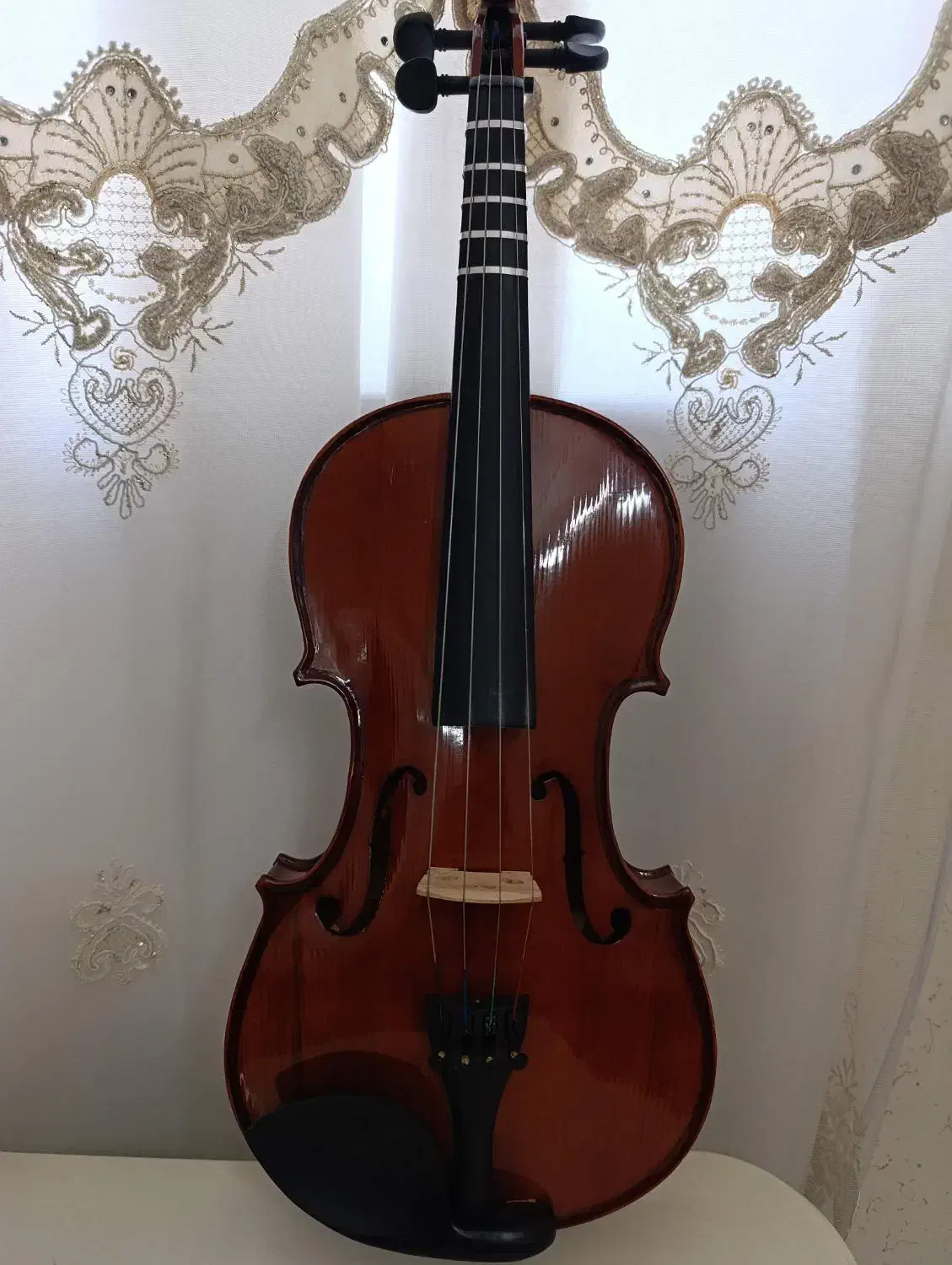 ویولون|ویولن|اردبیل, |دیوار