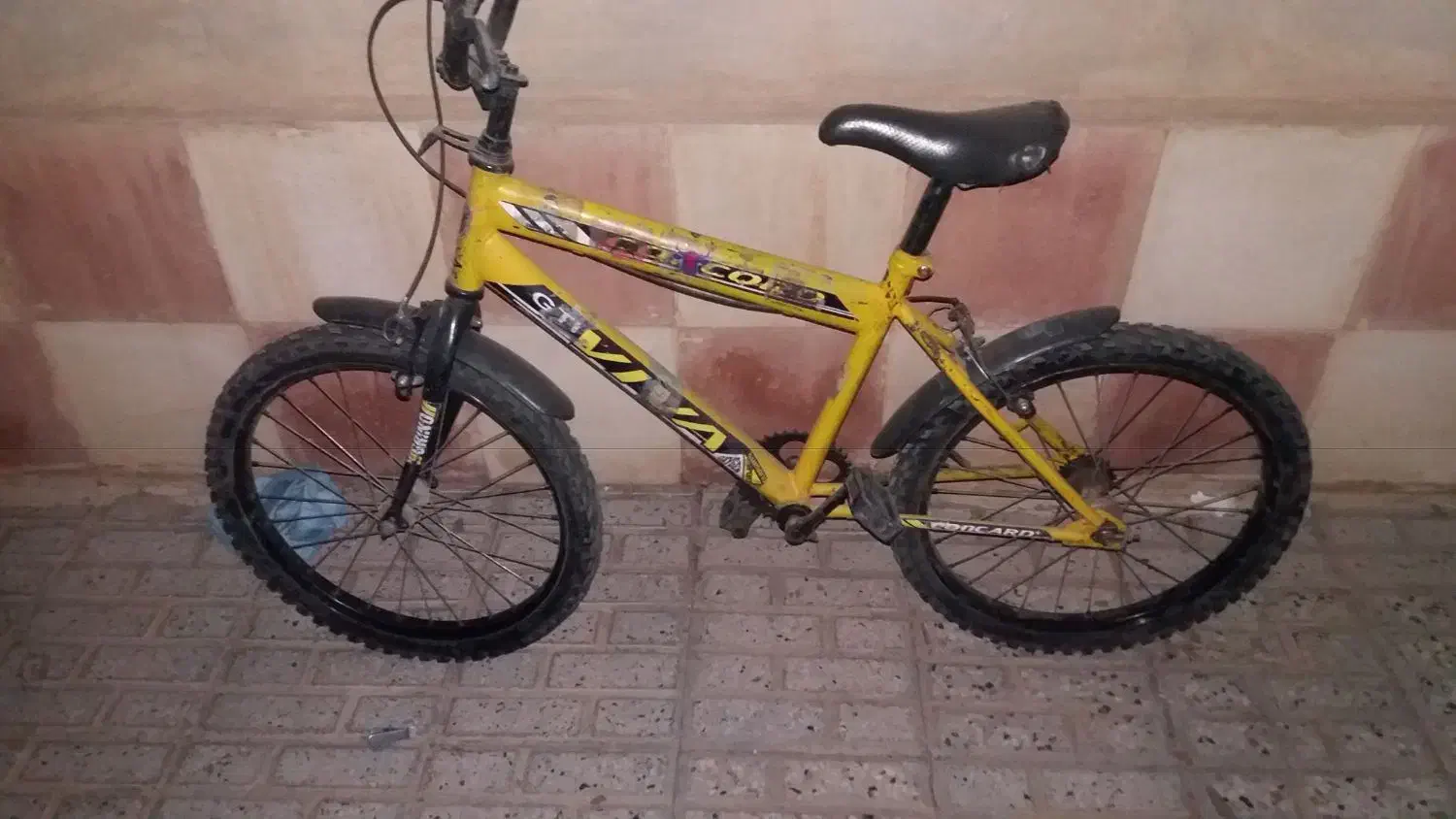 دوچرخه|دوچرخه، اسکیت، اسکوتر|تربت‌حیدریه, بی بی حسنیه|دیوار