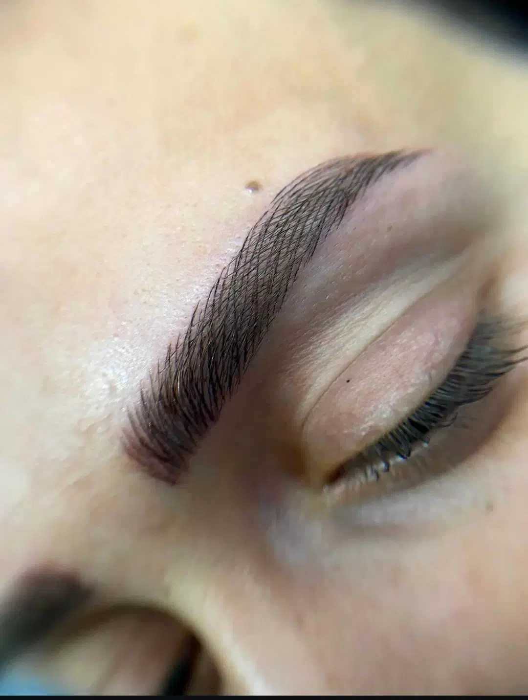 فیبروز. رژلب. خط چط چشم|خدمات آرایشگری و زیبایی|سبزوار, فرهنگیان|دیوار