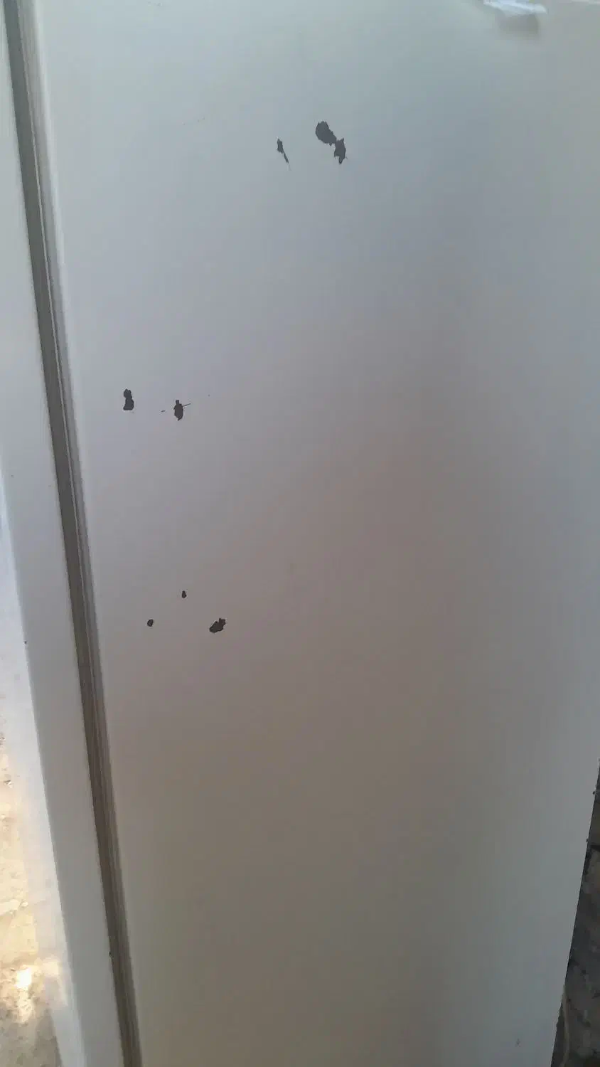 فریزر پارس هفت کشو سالم|یخچال و فریزر|رزن, |دیوار