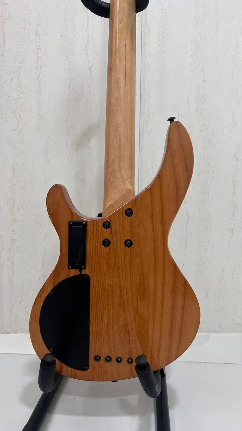 گیتار بیس|گیتار، بیس، امپلیفایر|یزد, |دیوار