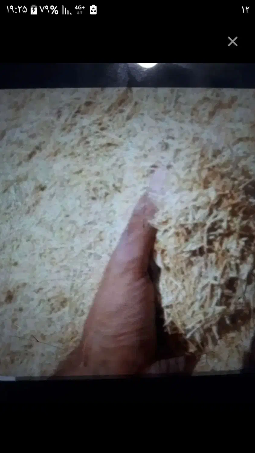 کاه درجه یک دیمی|لوازم جانبی حیوانات|شاهین دژ, |دیوار