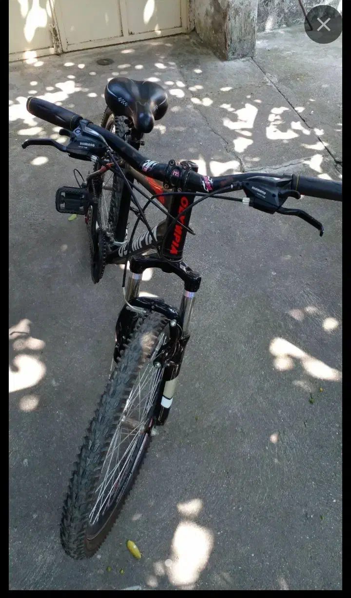 دوچرخه دنده ای سایز۲۴|دوچرخه، اسکیت، اسکوتر|بندر انزلی, سید آسیه|دیوار