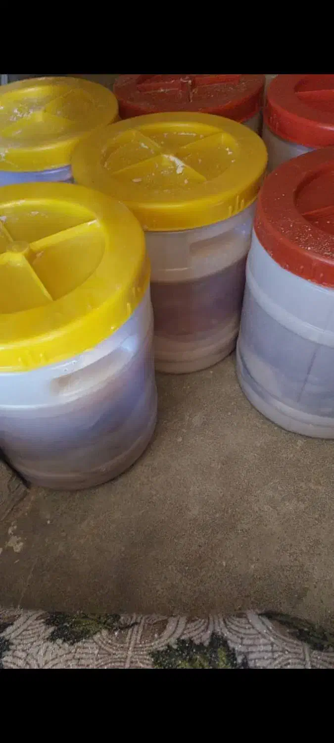 سور|ماهی|قشم, |دیوار