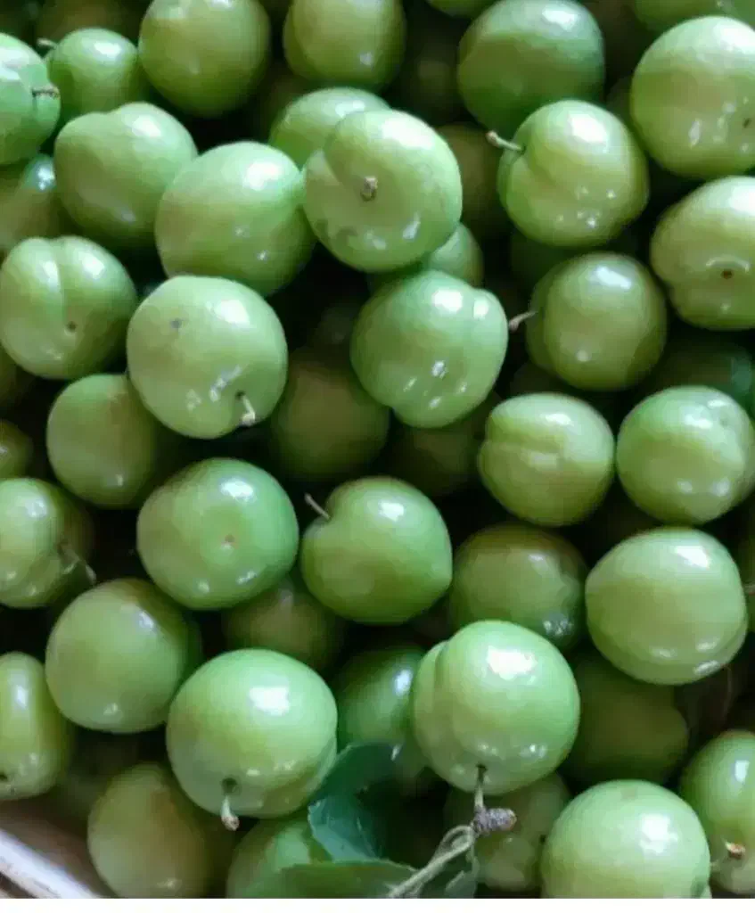 گوجه سبز|خوردنی و آشامیدنی|شاهین دژ, |دیوار