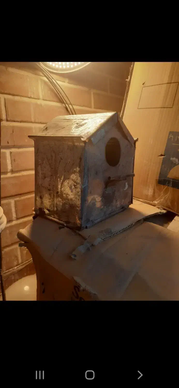 لونه فنج|لوازم جانبی حیوانات|قم, عمار یاسر|دیوار