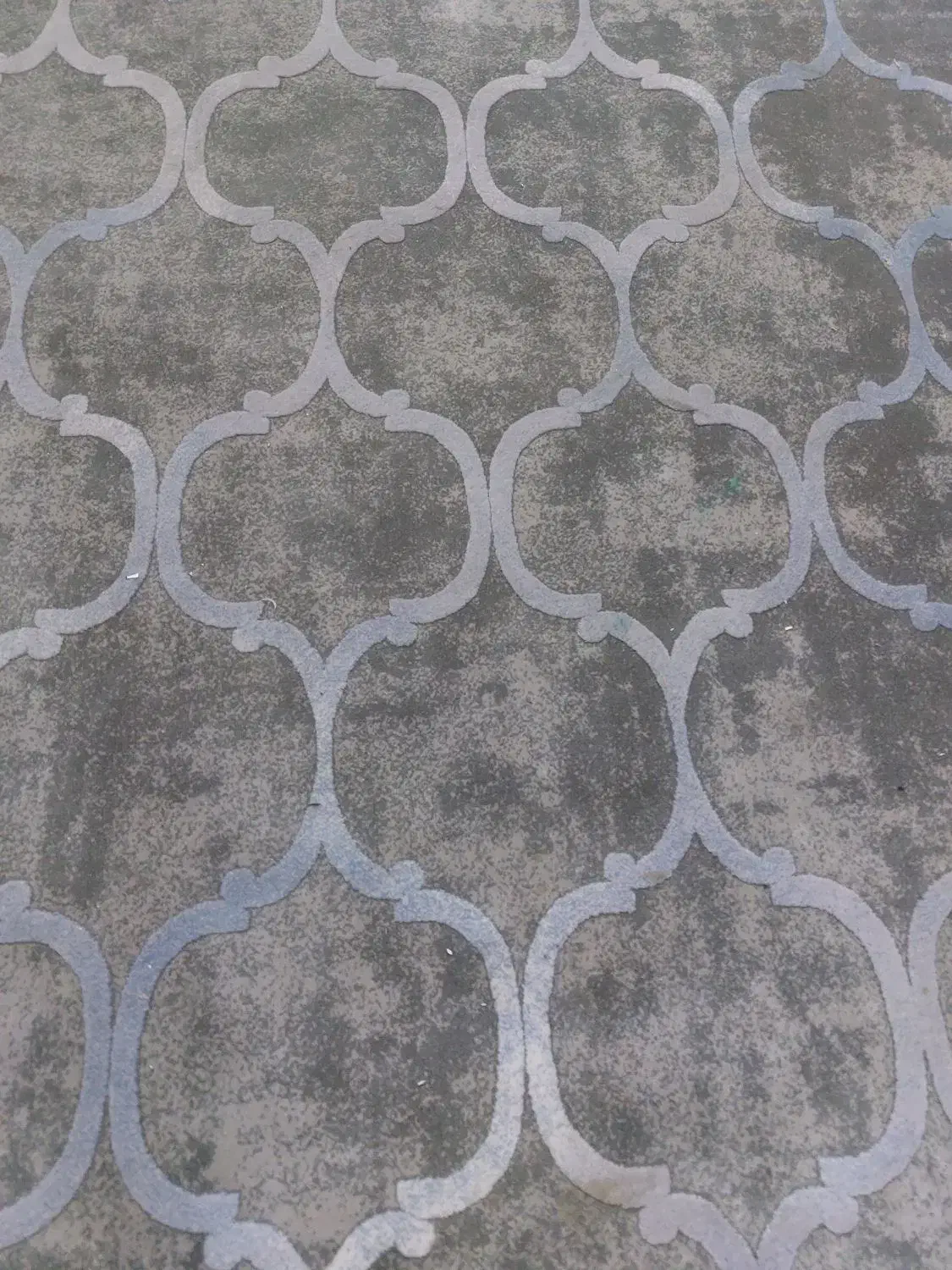 قالی ۹ متری|فرش|بجنورد, |دیوار