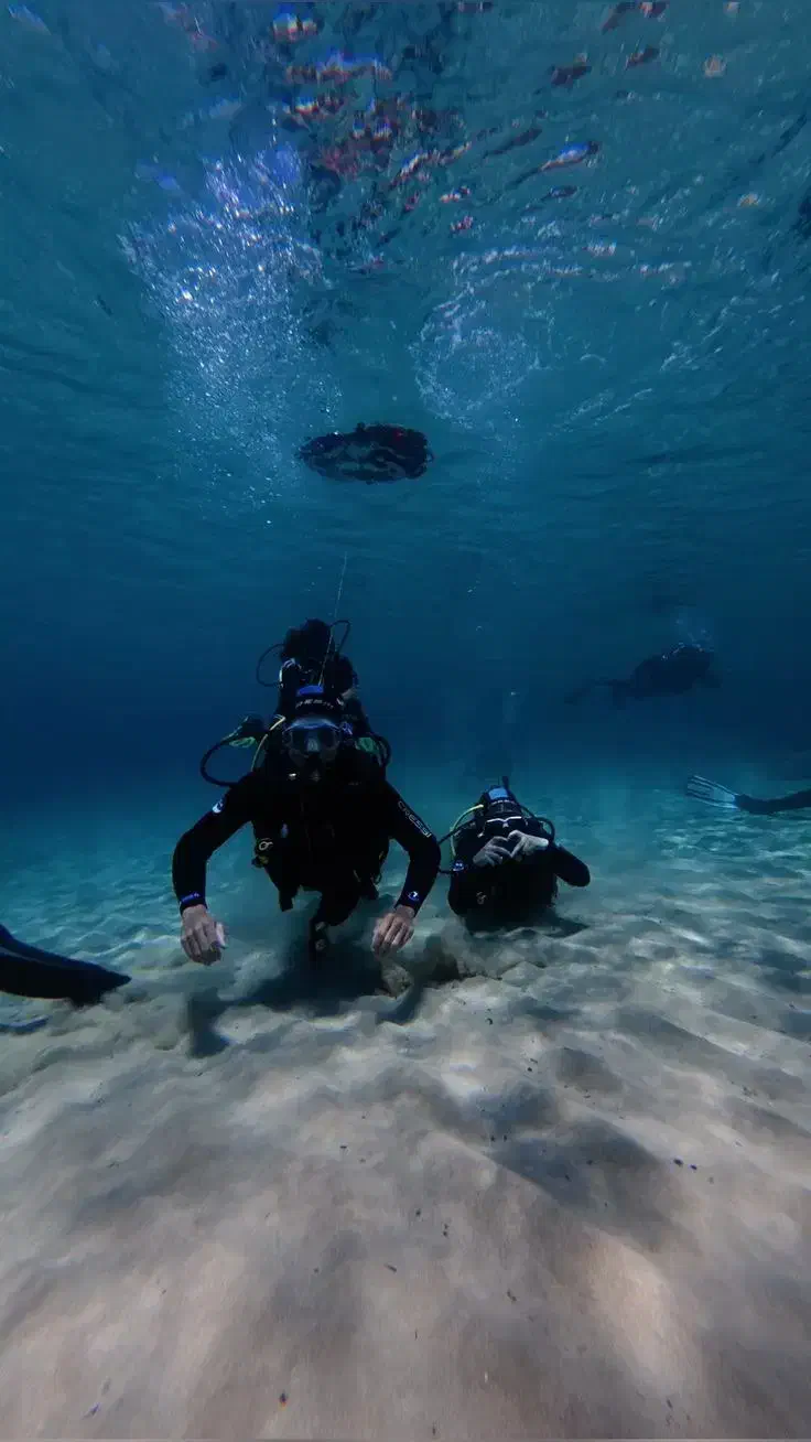 غواصی در دریای کیش|تور و چارتر|کیش, |دیوار