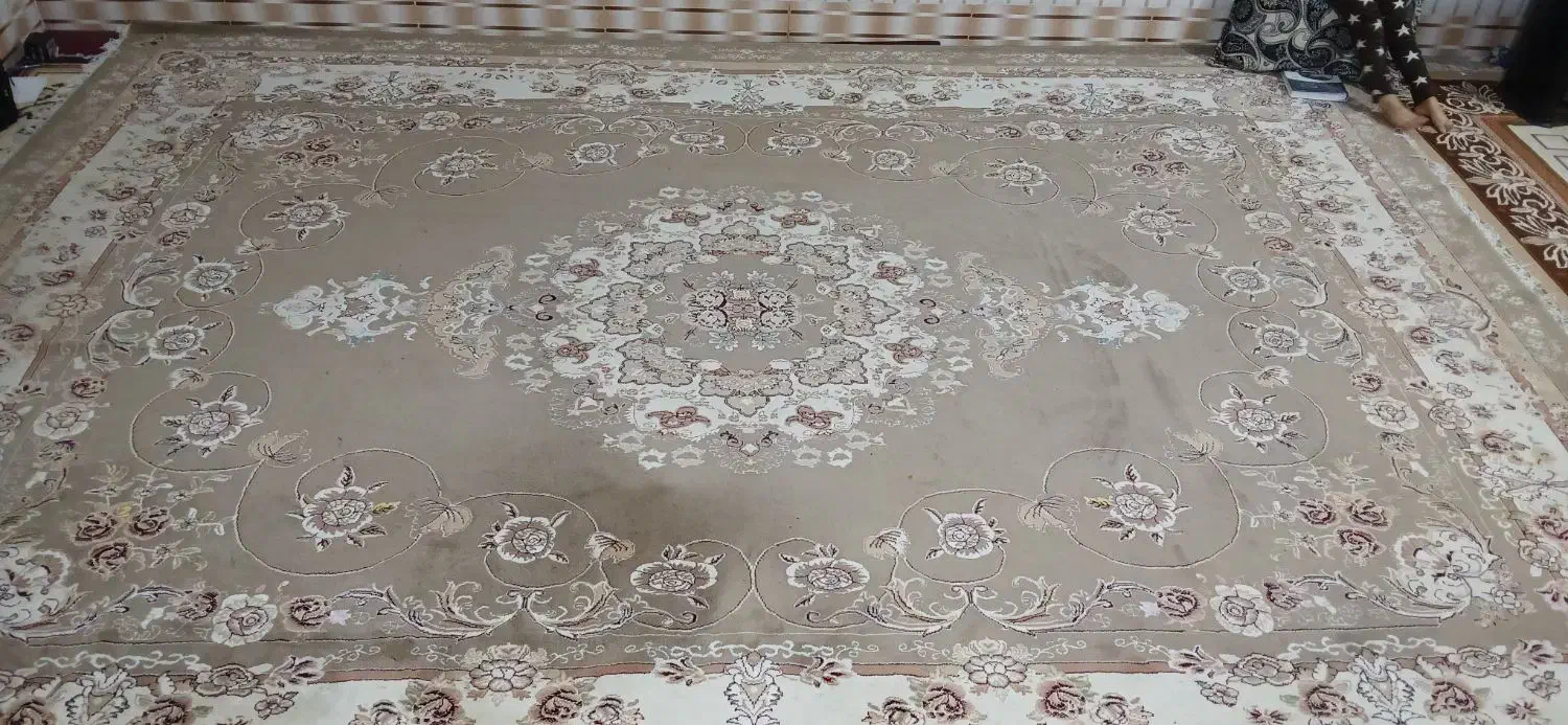 فرش|فرش|تربت جام, معدآباد|دیوار