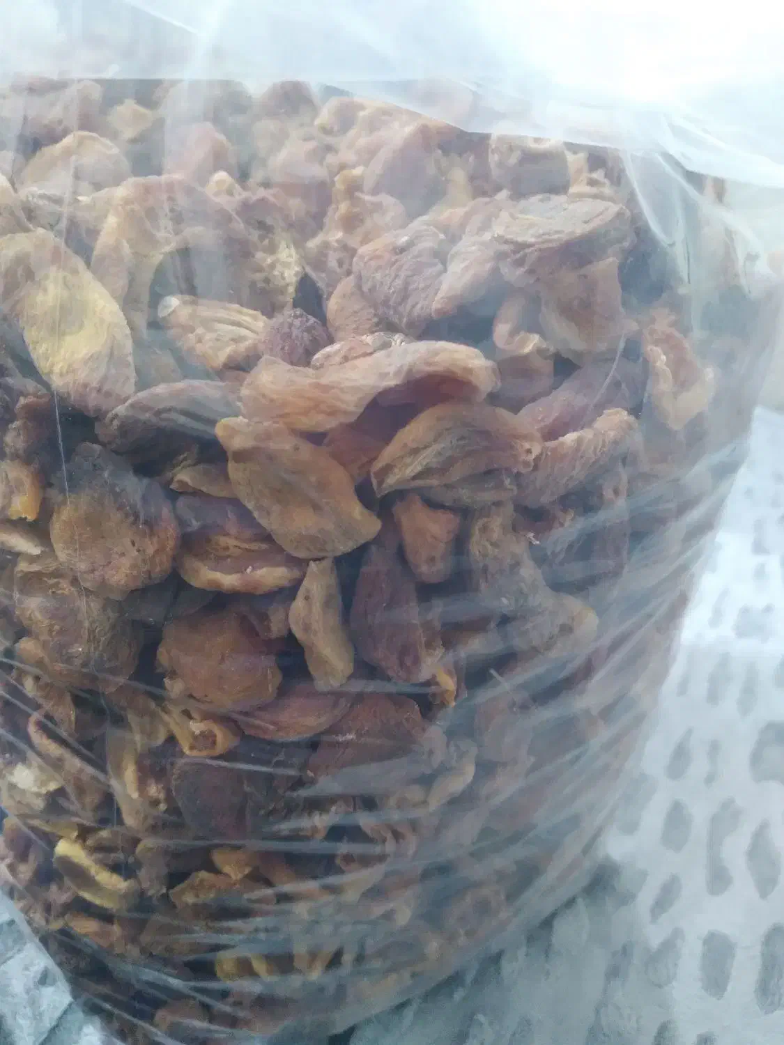 برگه آفتابی زردآلو|عمده‌فروشی|املش, |دیوار