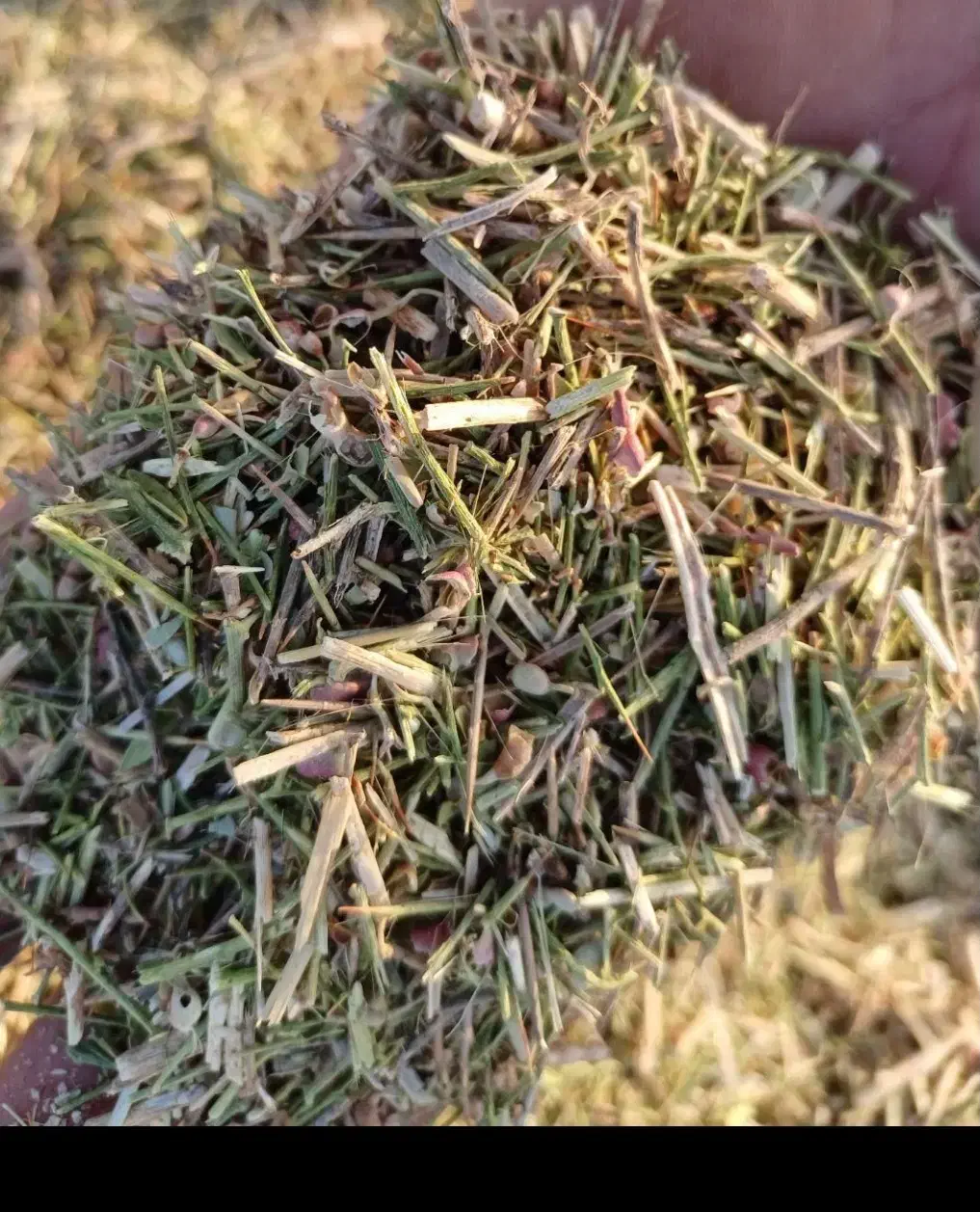 خار کوبید|لوازم جانبی حیوانات|فردوس (خراسان), |دیوار