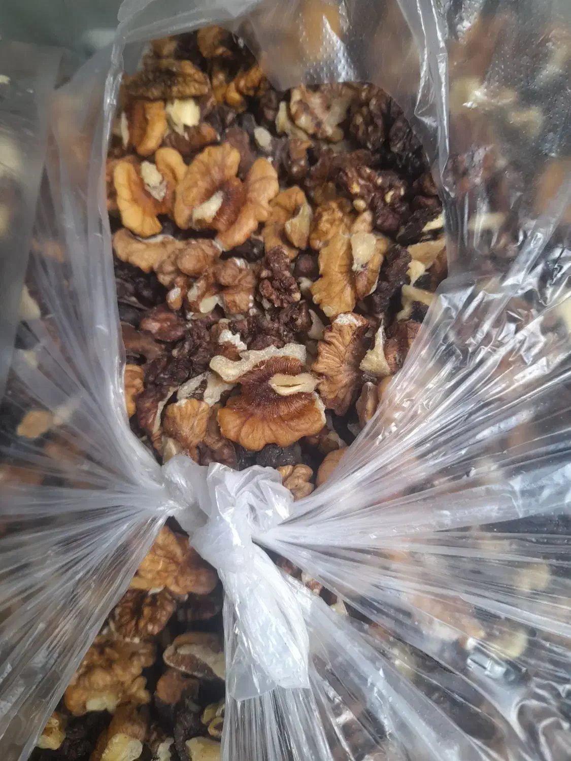 مغز گردو|عمدهفروشی|شاهو, |دیوار