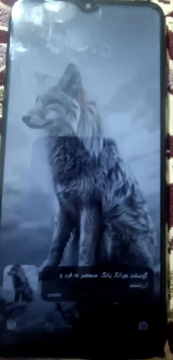 گوشی شیائومی پوکوm3|موبایل|میان ولایت, |دیوار