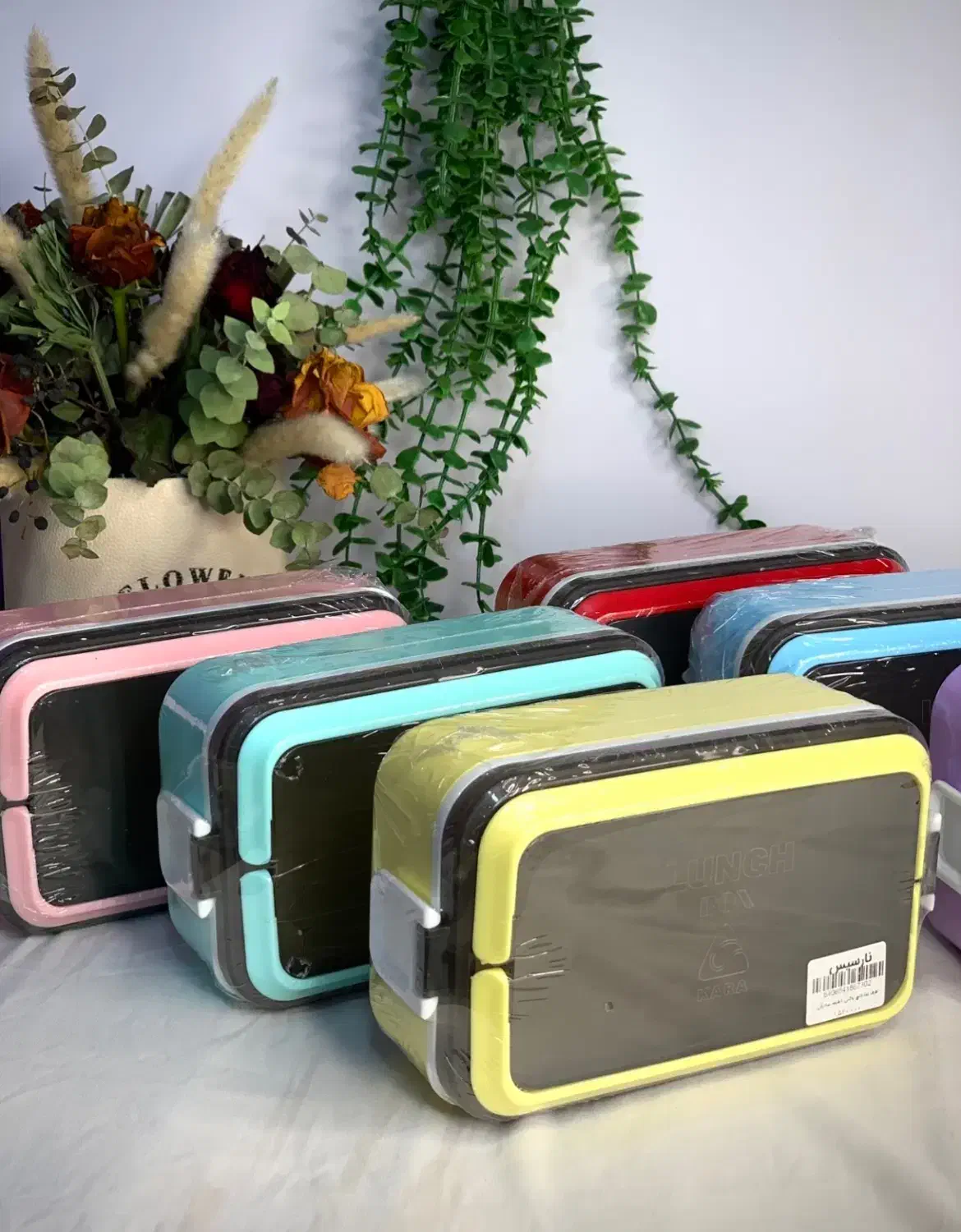 ظرف غذا مخصوص مدرسه و سرکار|ظروف نگهدارنده، پلاستیکی، یکبارمصرف|بم, |دیوار