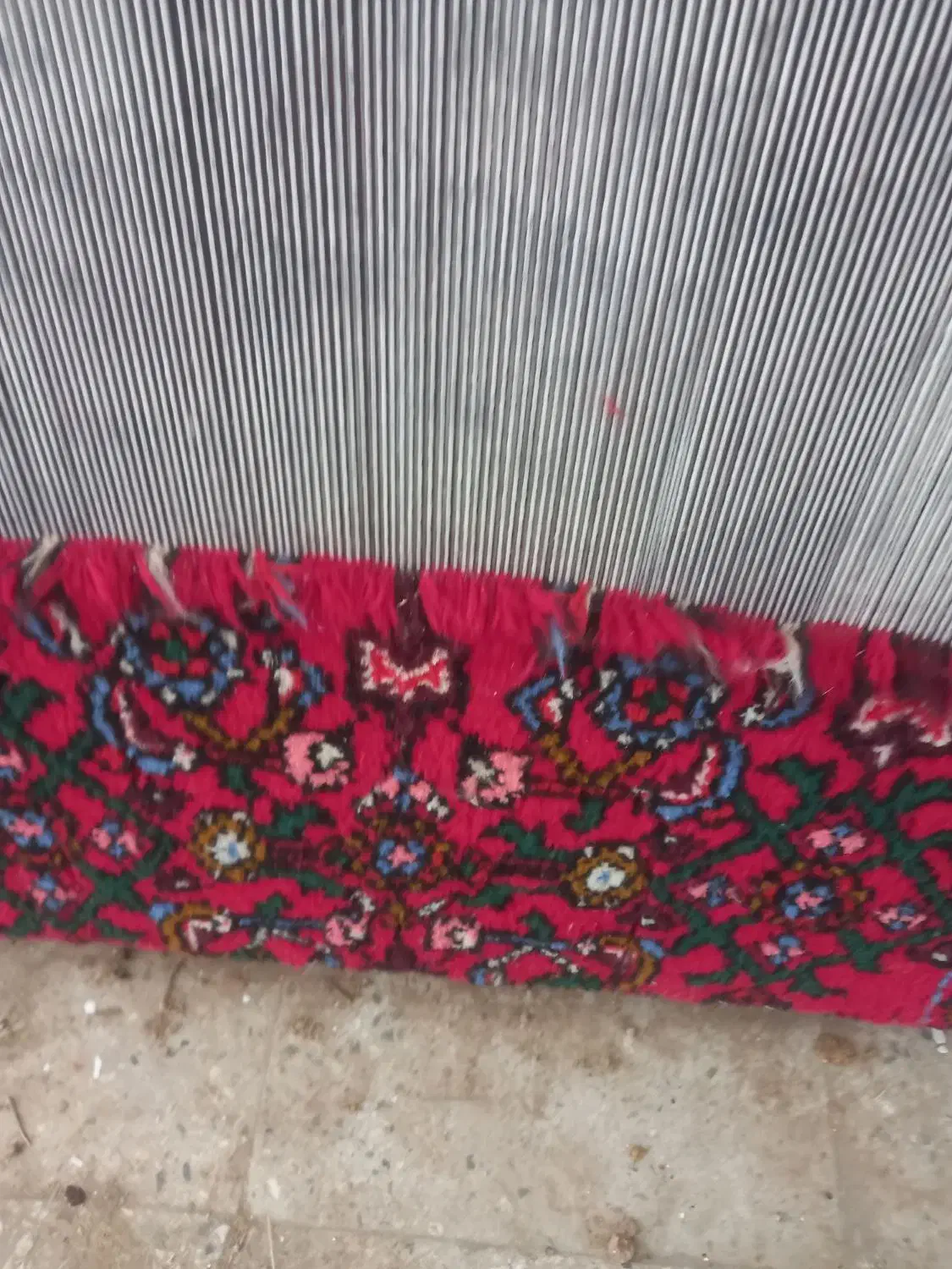 دار قالی نیمه کار .نقشه ماهی|فرش|ملایر, |دیوار