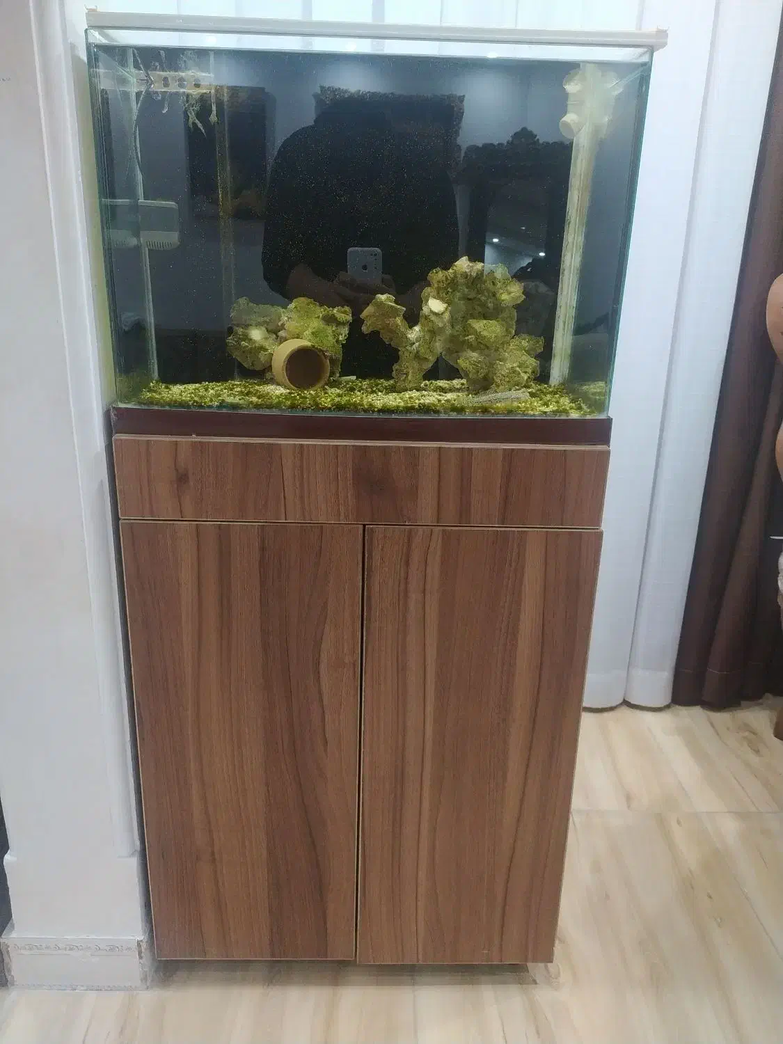 آکواریوم|ماهی|سنندج, |دیوار