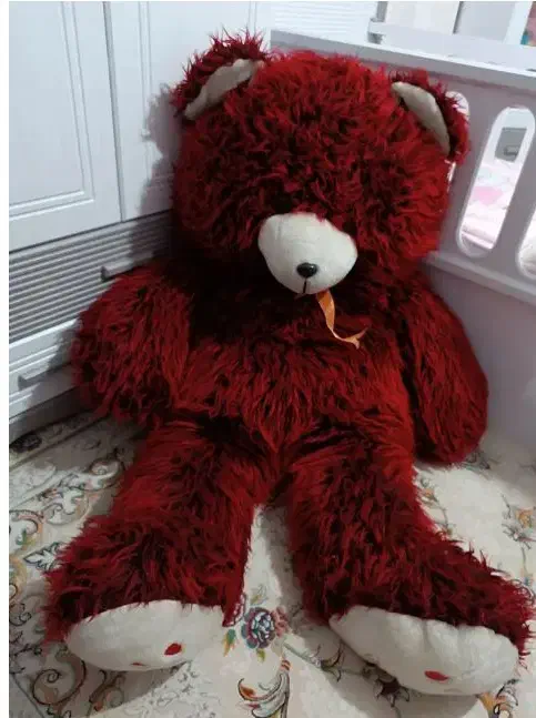 خرس ولنتاین و یلدا|اسباببازی|شیراز, شهرک مدرس|دیوار