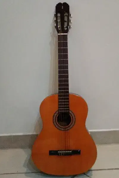 گیتار پویا سفارشی ساخت|گیتار، بیس، امپلیفایر|اصفهان, تخت فولاد|دیوار