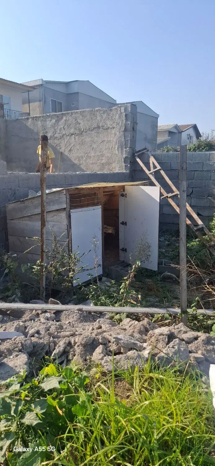 فروش مرغ دونی داخل دوطبقه|حیوانات مزرعه|چمستان, |دیوار