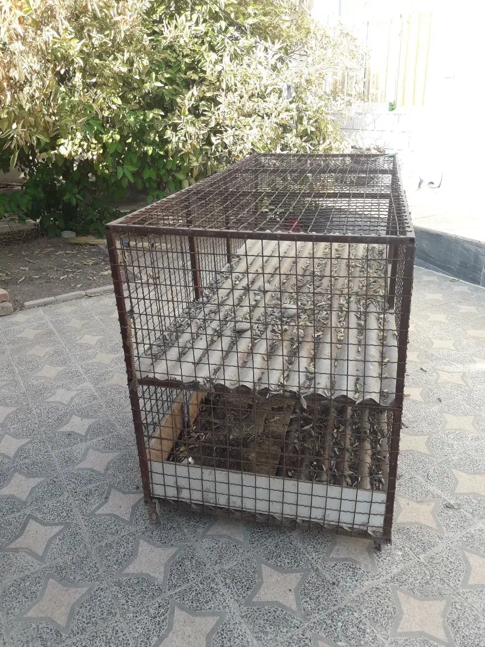 قفسه مرغ دو طبقه|لوازم جانبی حیوانات|دره شهر, |دیوار