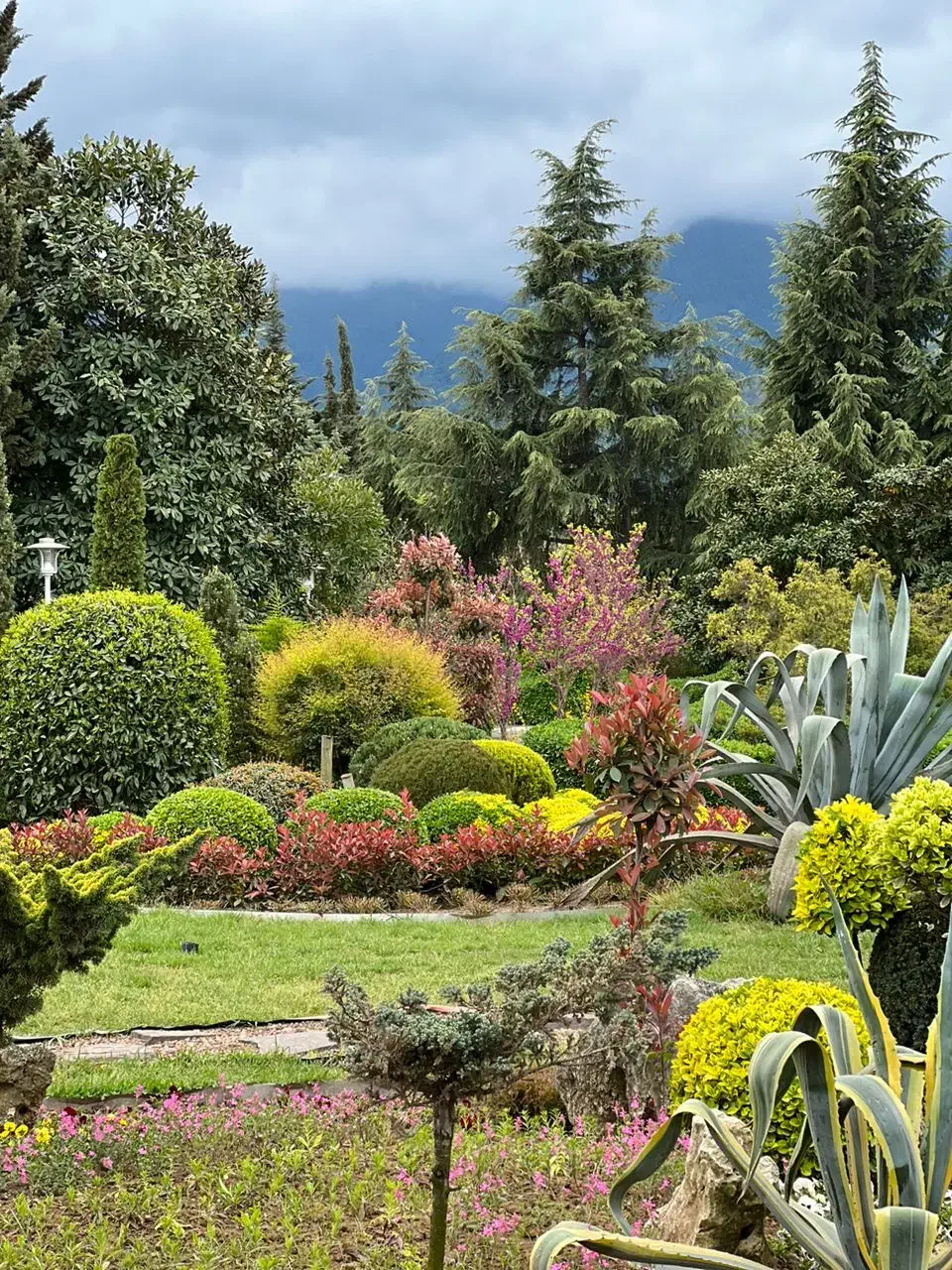 تور کلاردشت|تور و چارتر|ساری, |دیوار