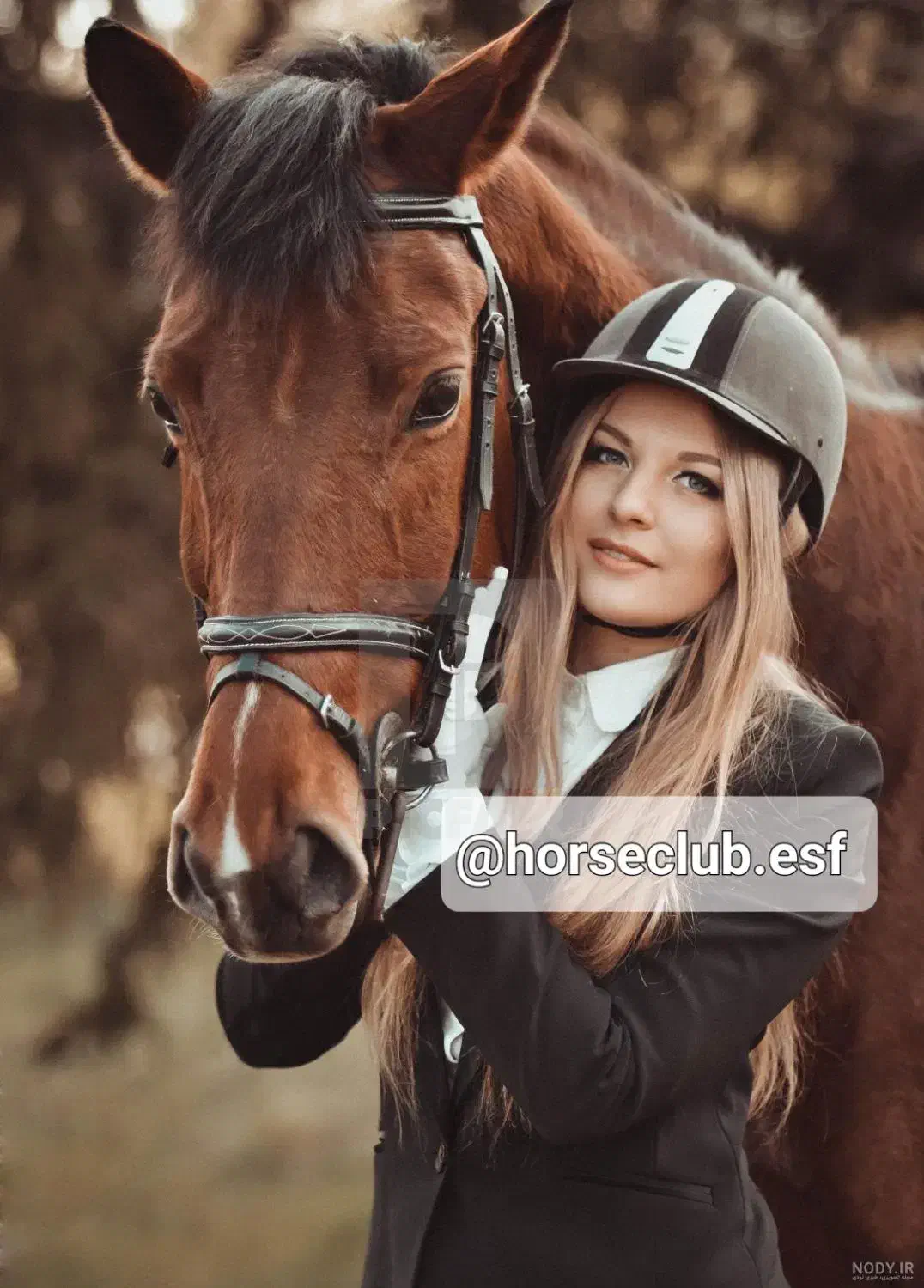 مربی آموزش سوارکاری باشگاه اسب|استخدام آموزشی|اصفهان, قهجاورستان|دیوار