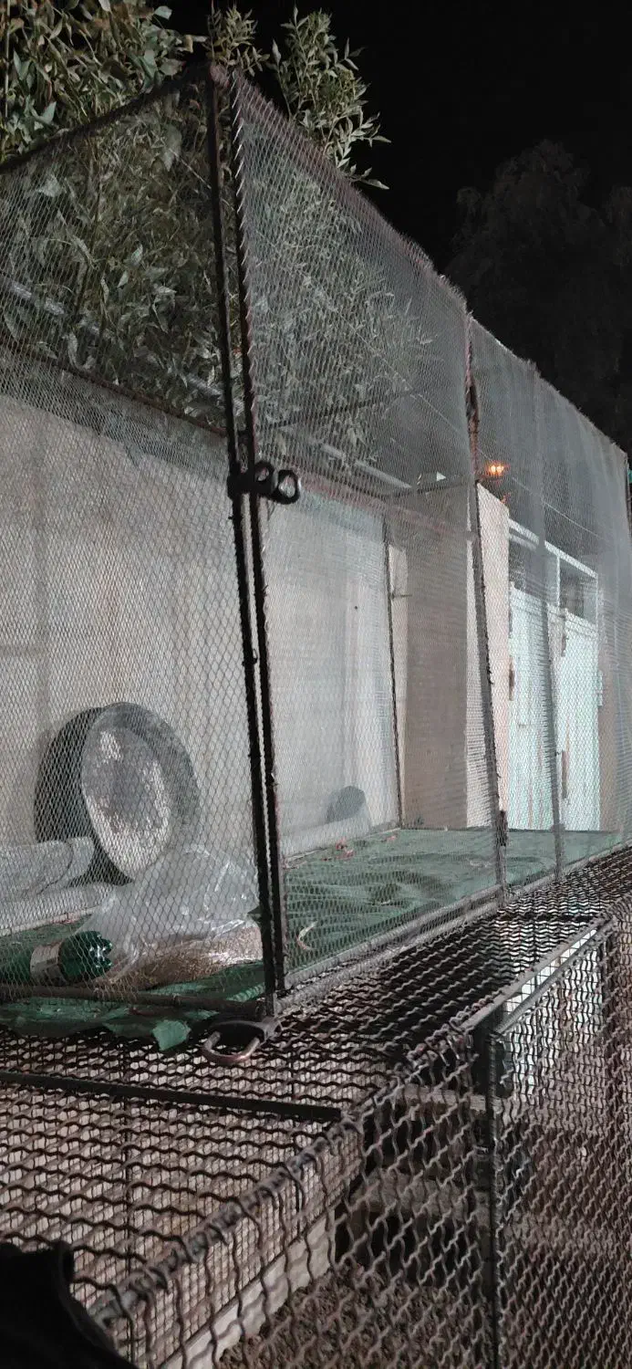 قفس پرنده|لوازم جانبی حیوانات|آبدانان, |دیوار