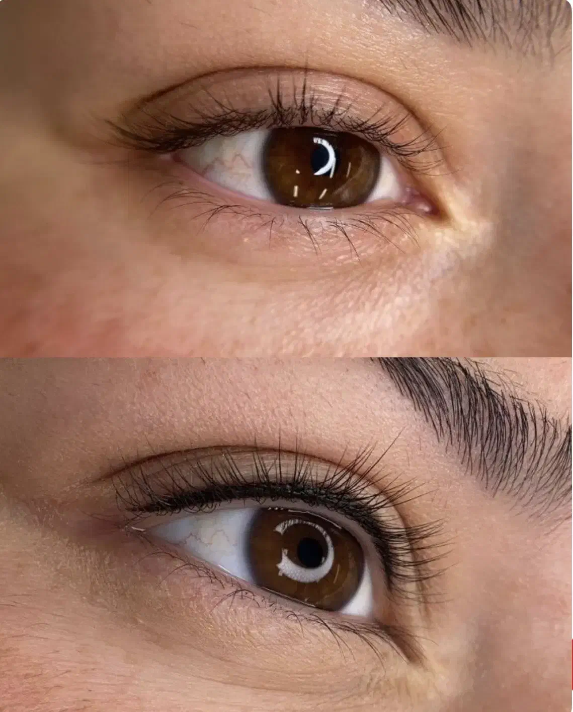 آرایش دائم ابرو،چشم ولب با تخفیف ویژه بلک فرایدی|خدمات آرایشگری و زیبایی|شاهین‌شهر, عطار|دیوار