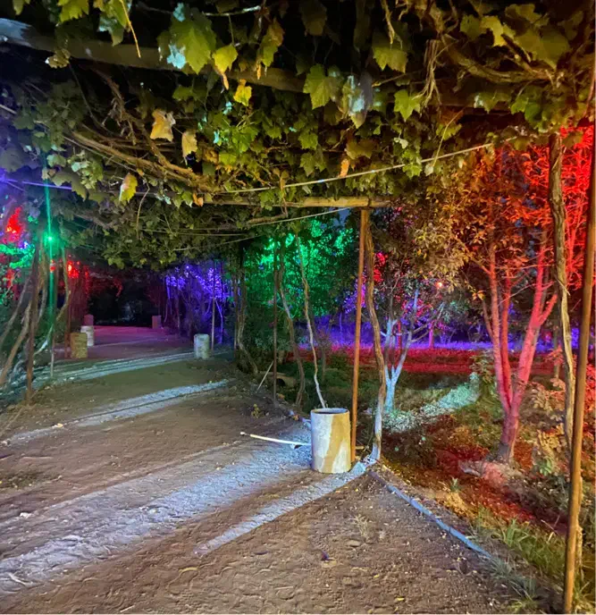 اجاره باغ|خدمات پذیرایی، مراسم|بردسیر, |دیوار