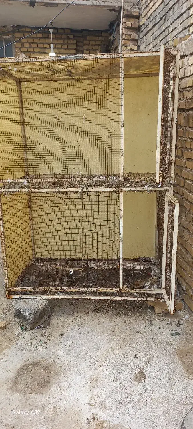 قفس دوطبقه|لوازم جانبی حیوانات|اهواز, سیاحی(سه راه خرمشهر)|دیوار