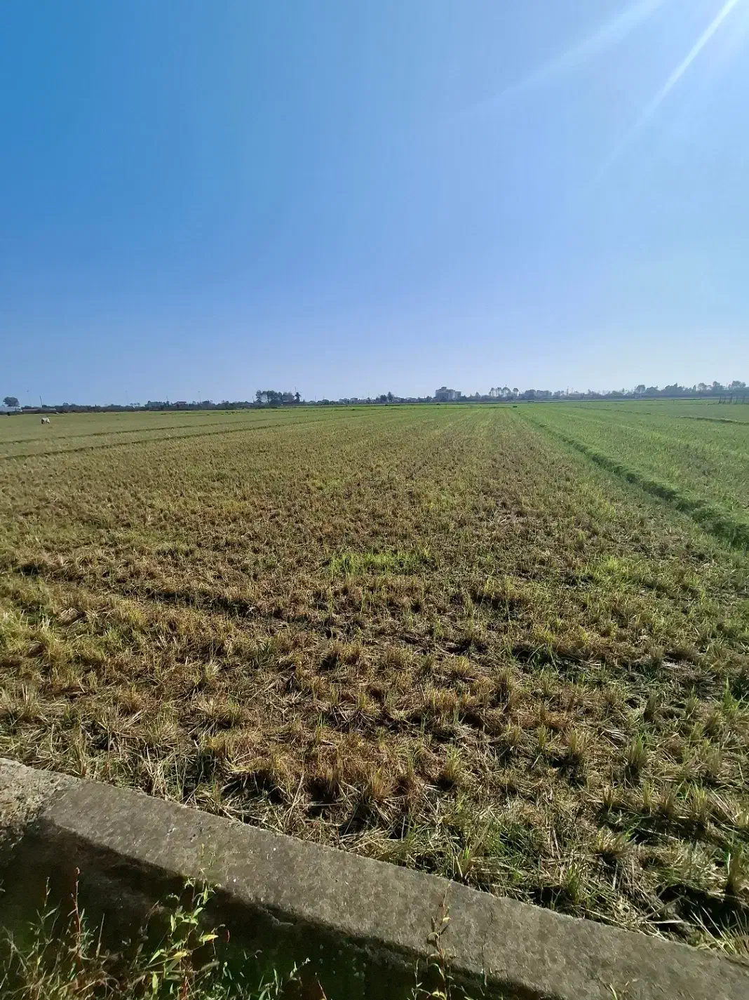 قطعه زمین املاک لوندویل|فروش زمین و ملک کلنگی|لوندویل, |دیوار