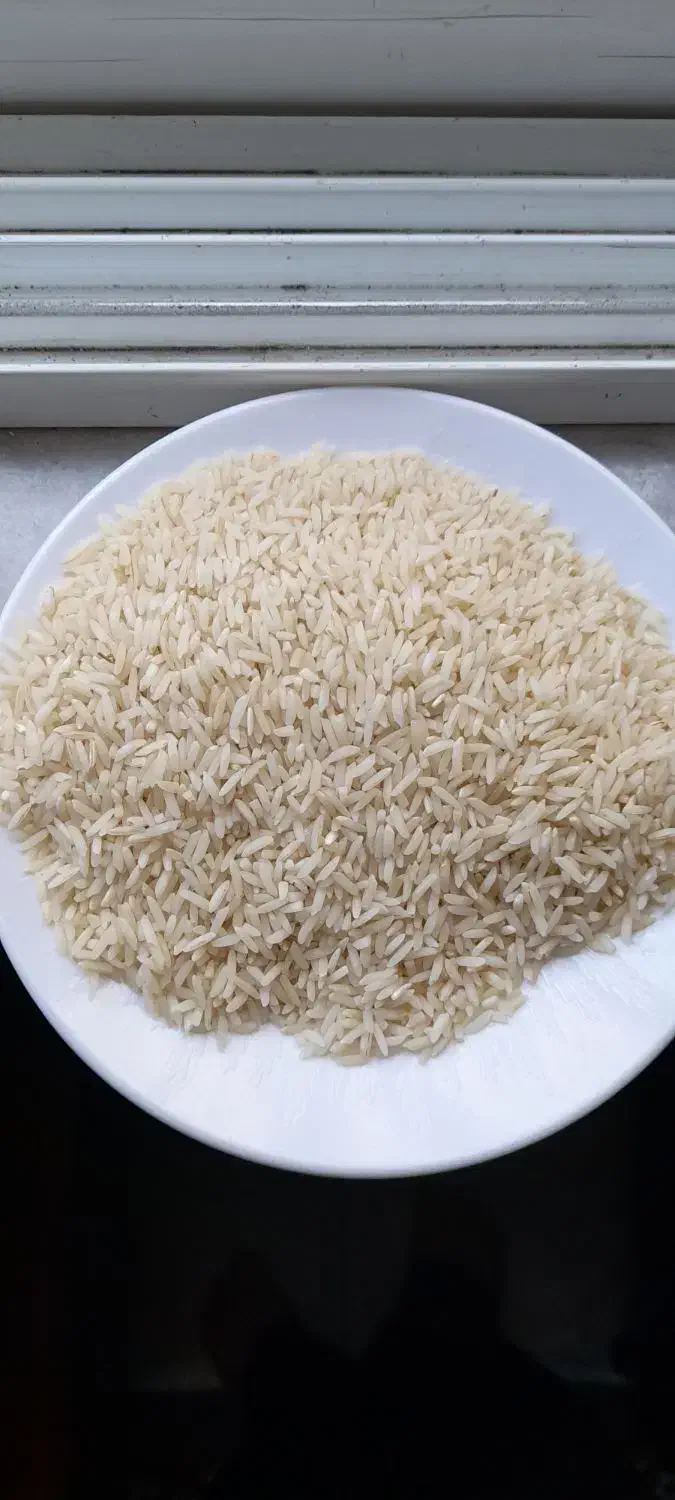 برنج طارم هاشمی اصل کشت دوم|خوردنی و آشامیدنی|بابل, |دیوار