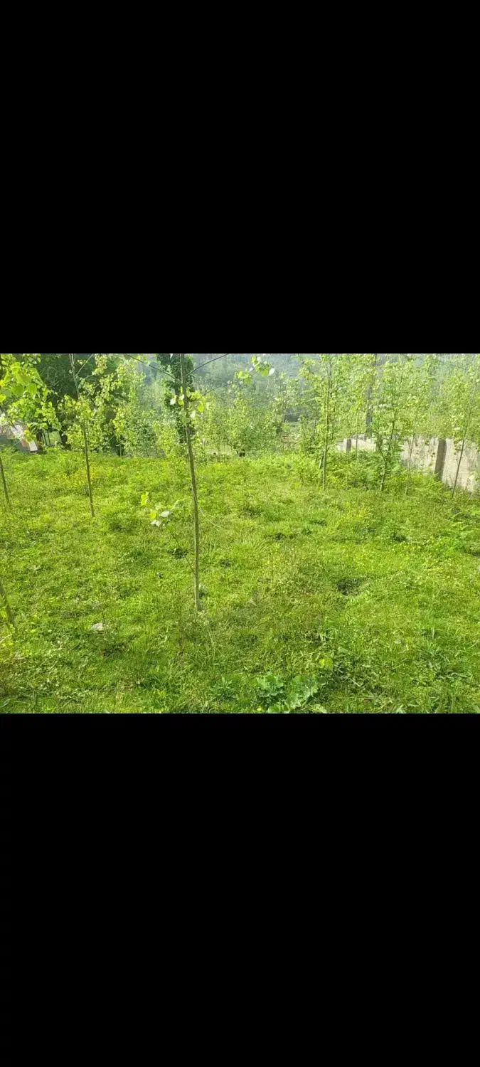 فروش|فروش زمین و ملک کلنگی|گوراب زرمیخ, |دیوار