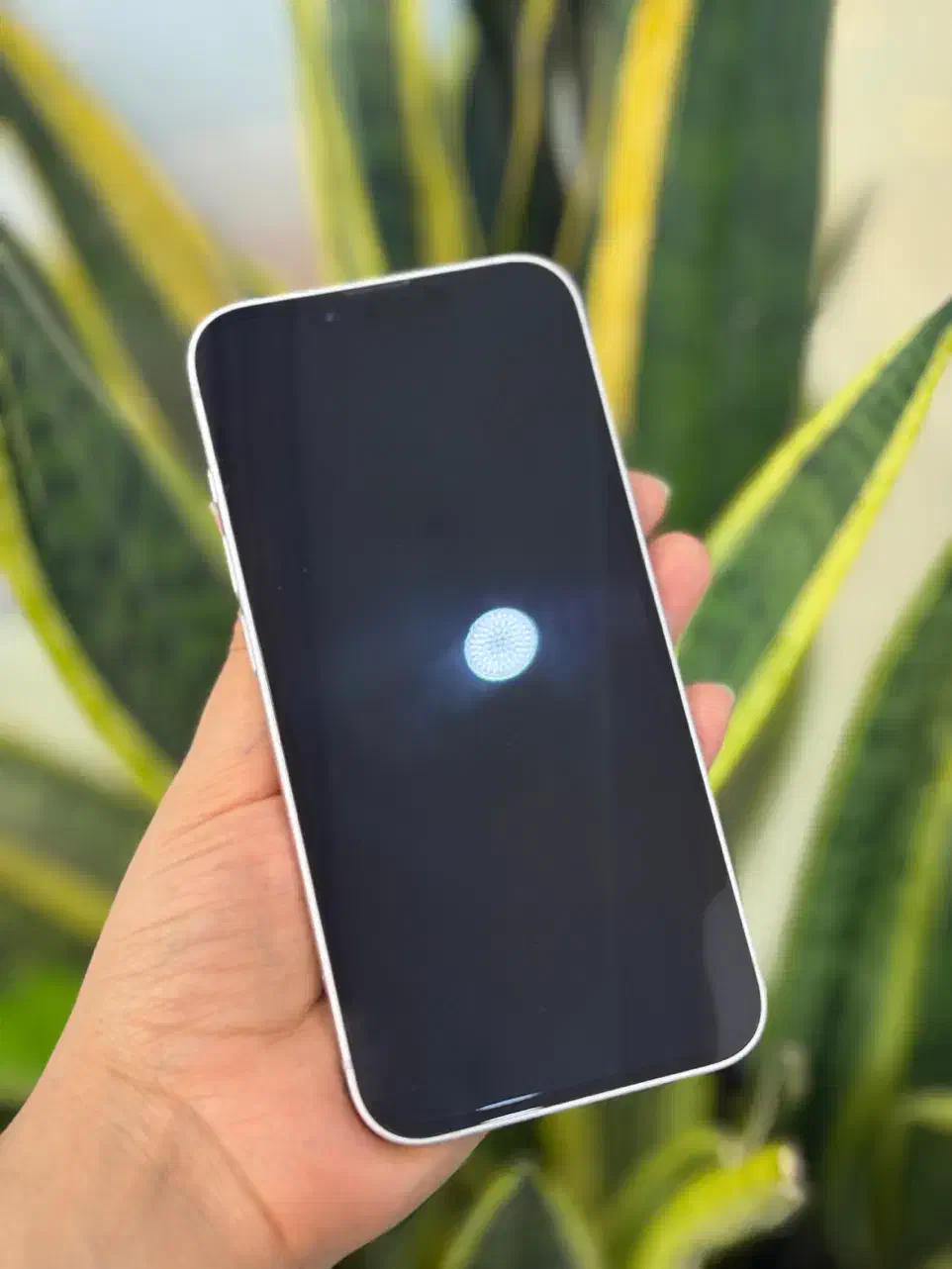 iPhone16e /128g/تک سیم با ریجستر|موبایل|اصفهان, احمدآباد|دیوار