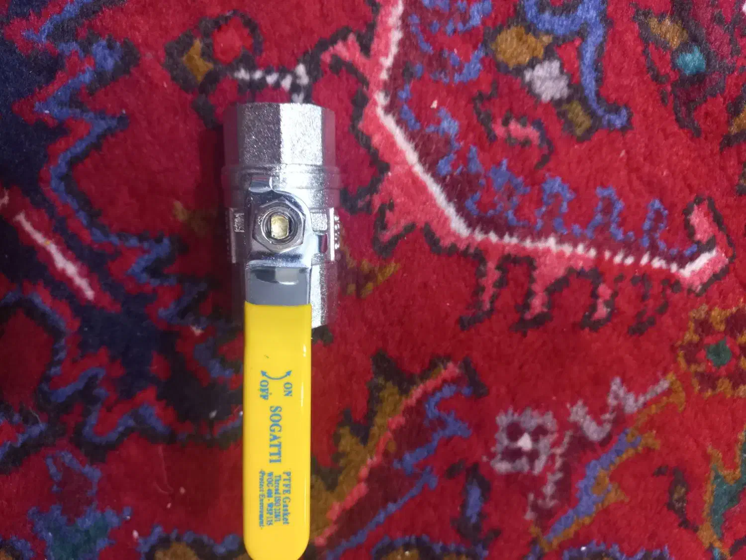 شیر|حراج|تبریز, |دیوار