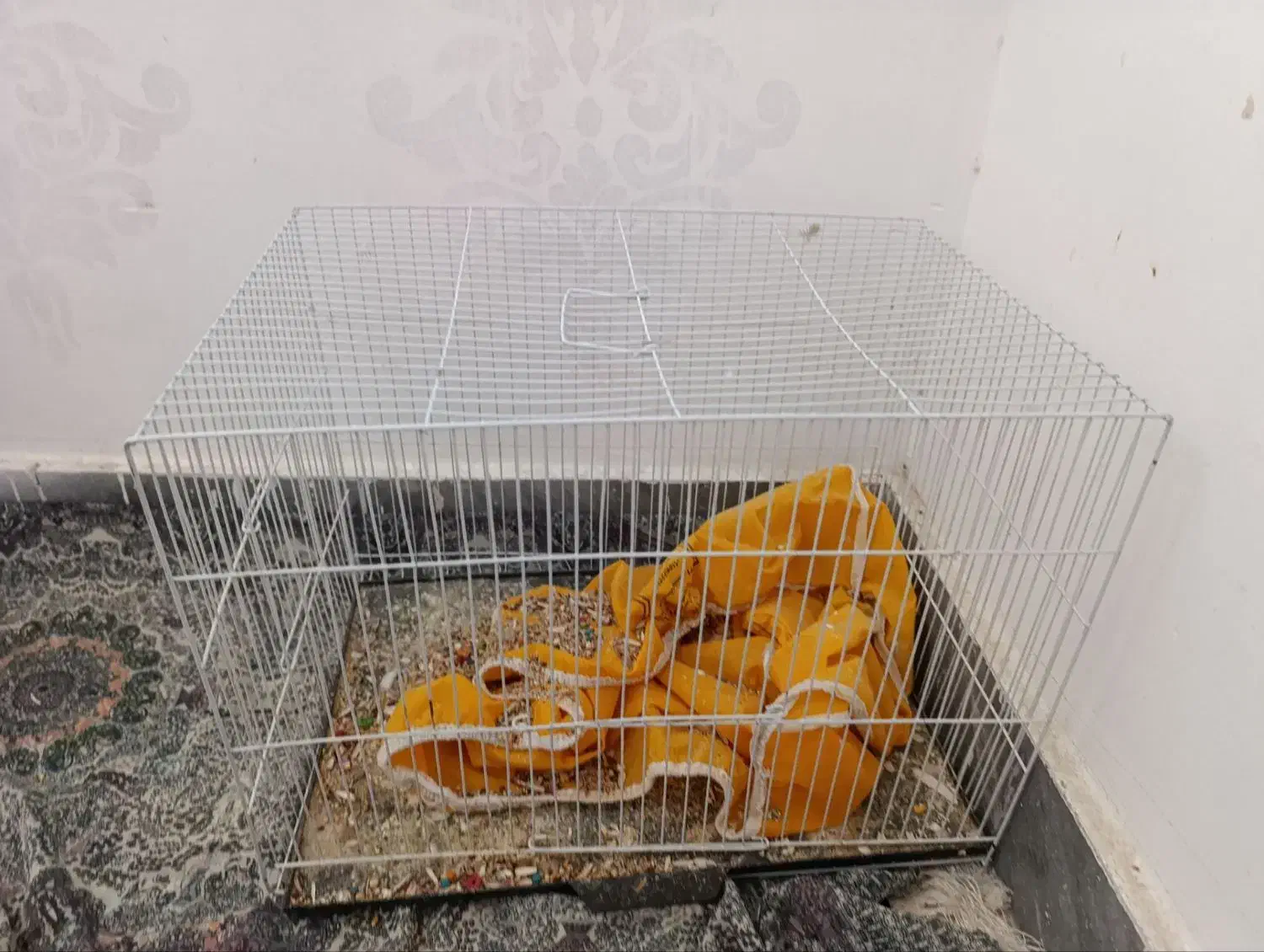 قفس پرنده|لوازم جانبی حیوانات|بیرجند, |دیوار