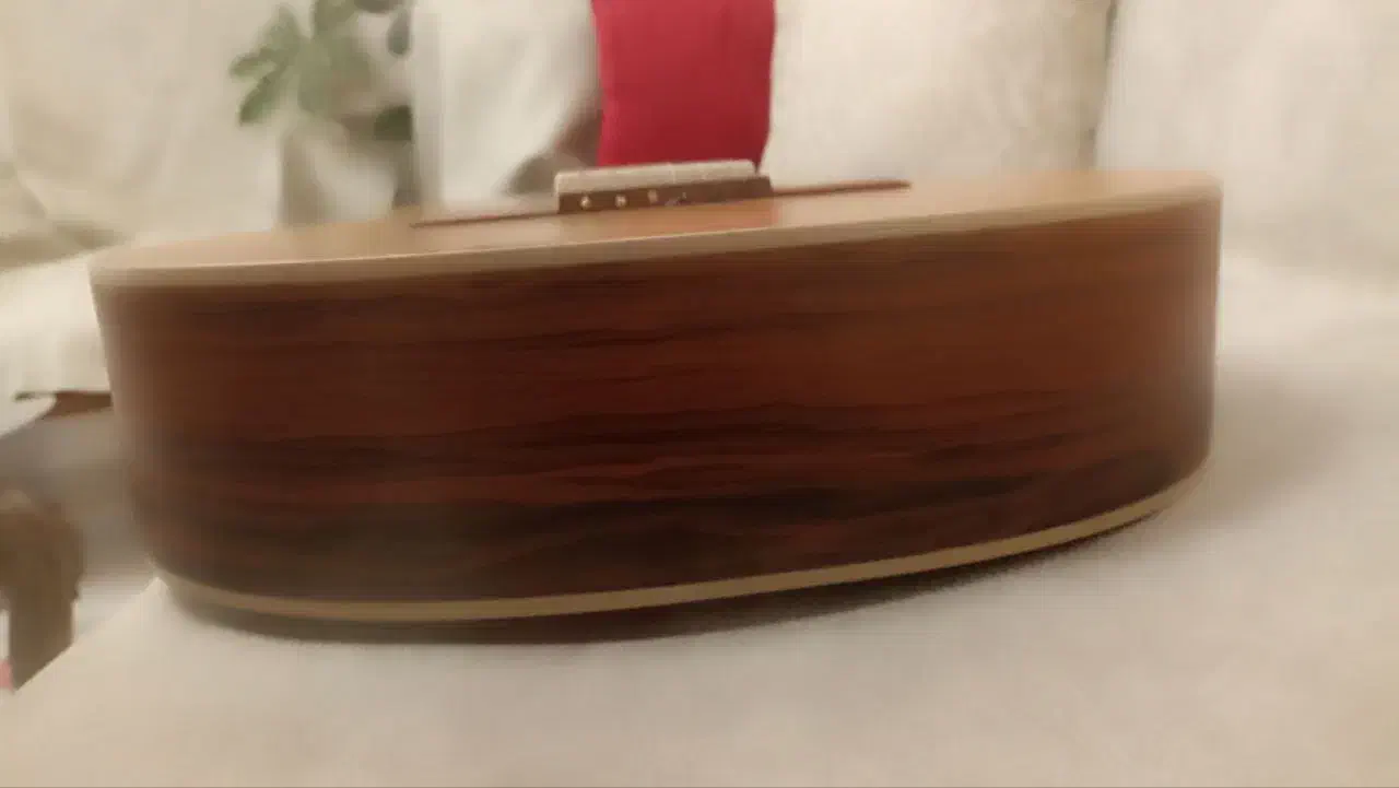 گیتار Parsi P80|گیتار، بیس، امپلیفایر|محمدشهر, همایون ویلا|دیوار