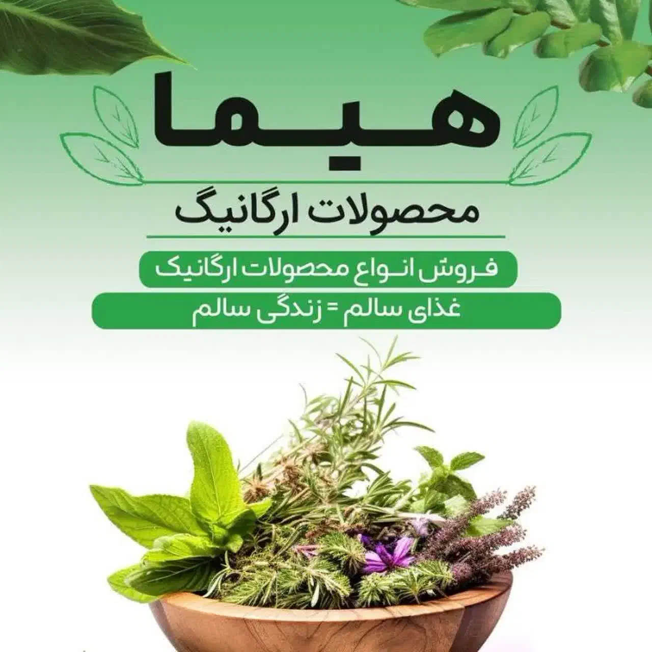 محصولات ارگانیک هیما.|آرایشی، بهداشتی، درمانی|قم, دانشگاه قم|دیوار