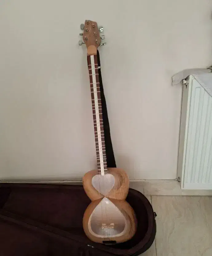 تار تخت سه مهر هاشمیان|سازهای سنتی|کاشان, باهنر|دیوار