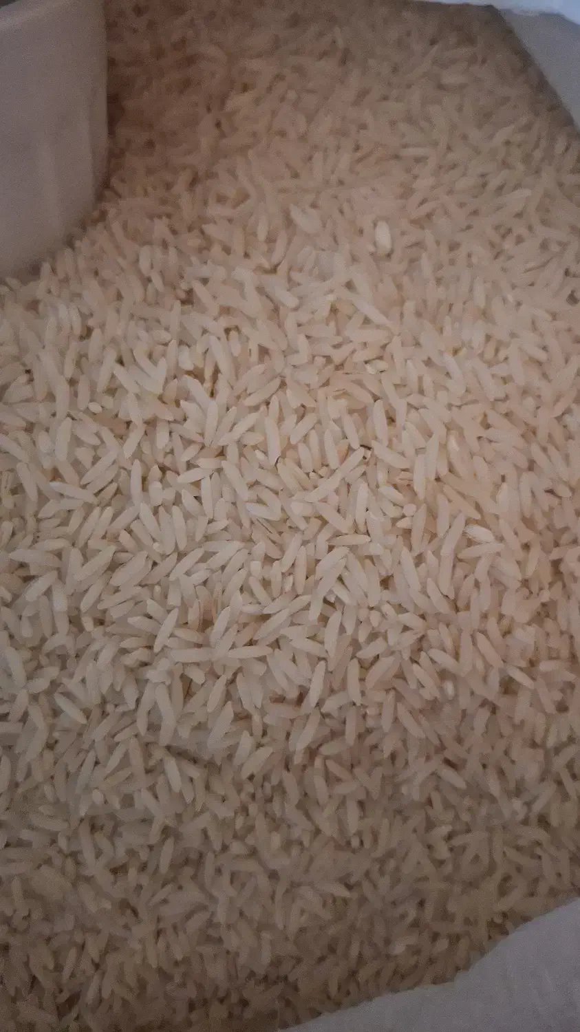 برنج هاشمی|خوردنی و آشامیدنی|آستارا, |دیوار