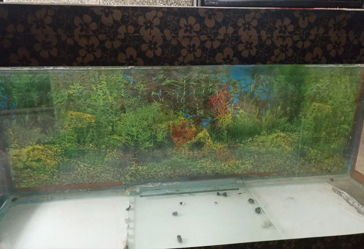 آکواریوم 110*20|ماهی|قم, نخودی|دیوار