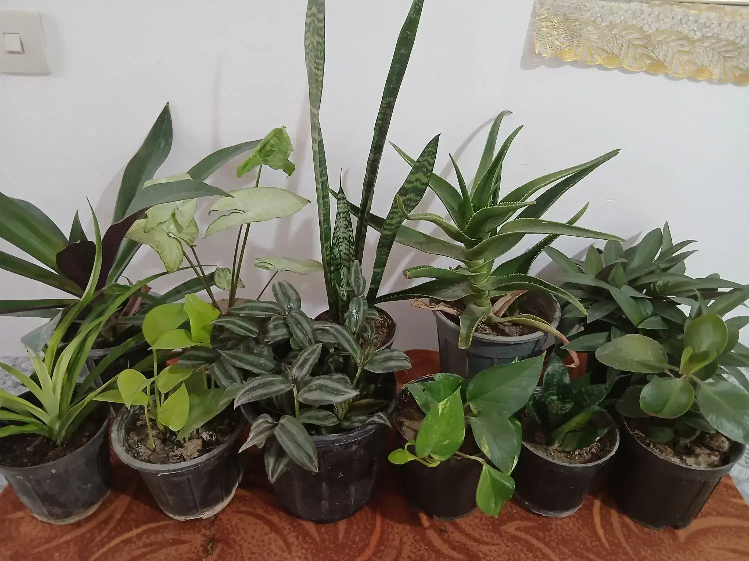 اجاق گاز وپرده وخردکن|اجاق گاز و لوازم برقی پخت‌وپز|مرودشت, ابوذر جنوبی|دیوار