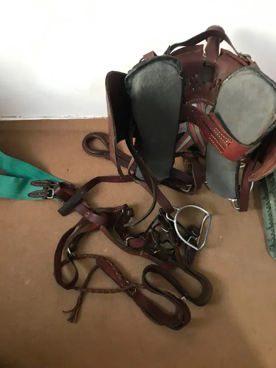 زین اسب|اسب و تجهیزات اسبسواری|مشهد, سید رضی|دیوار