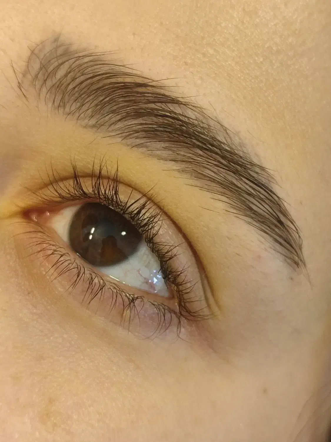 مدل رایگان اصلاح ابرو وصورت|خدمات آرایشگری و زیبایی|اصفهان, جلفا|دیوار