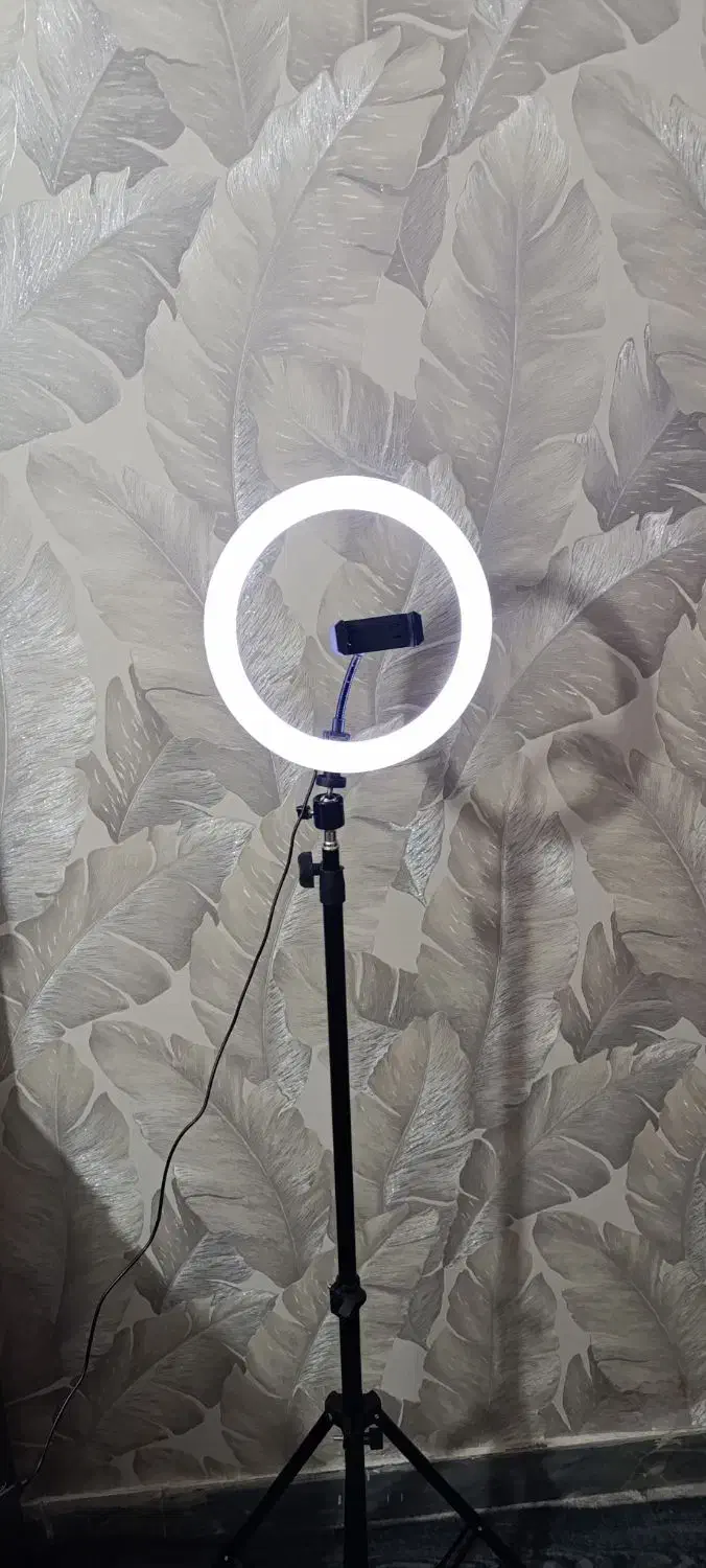 رینگ لایت فقط 950|لامپ و چراغ|همدان, |دیوار