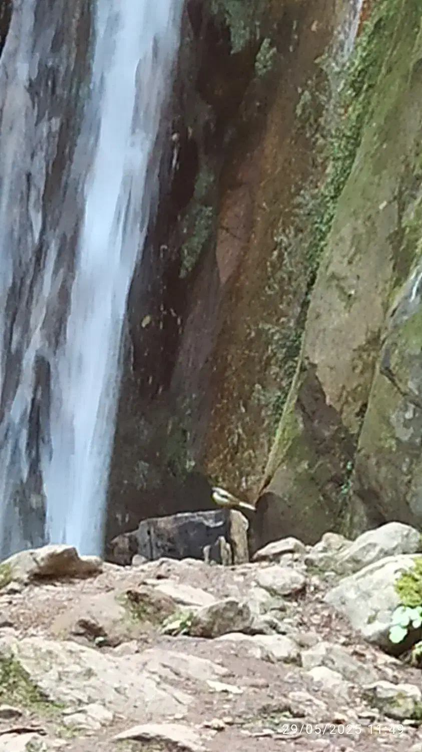راهنمای گردشگری گیلان تجربه بینظیر|تور و چارتر|بندر انزلی, عباس آباد|دیوار